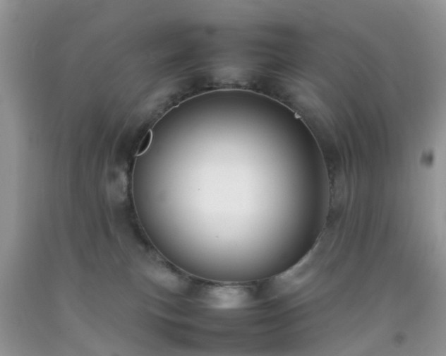 X0000092050183200709191128