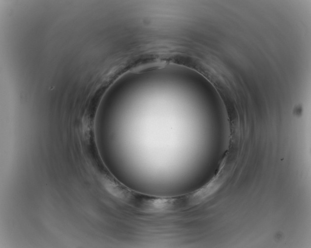 X0000092050184200709191128