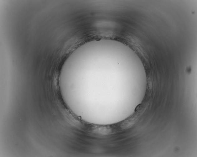 X0000092050185200709191128