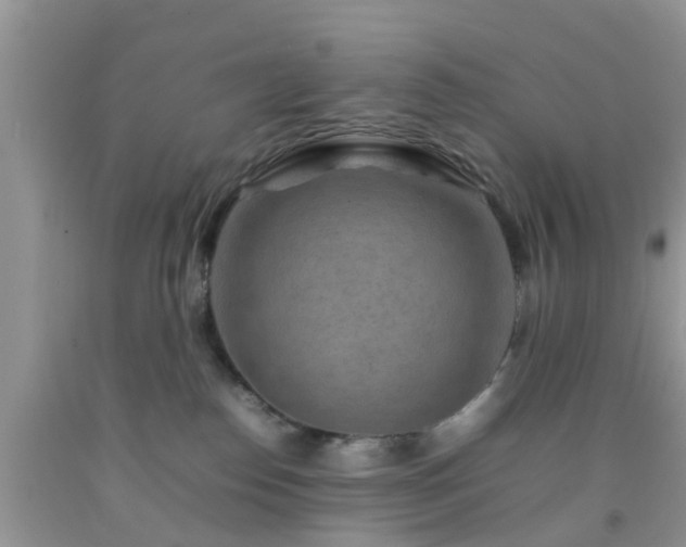 X0000092050186200709191128