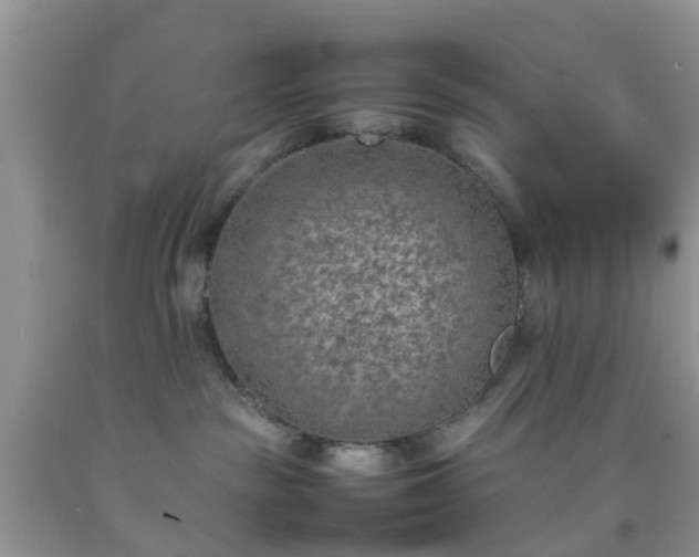 X0000092050189200709191128