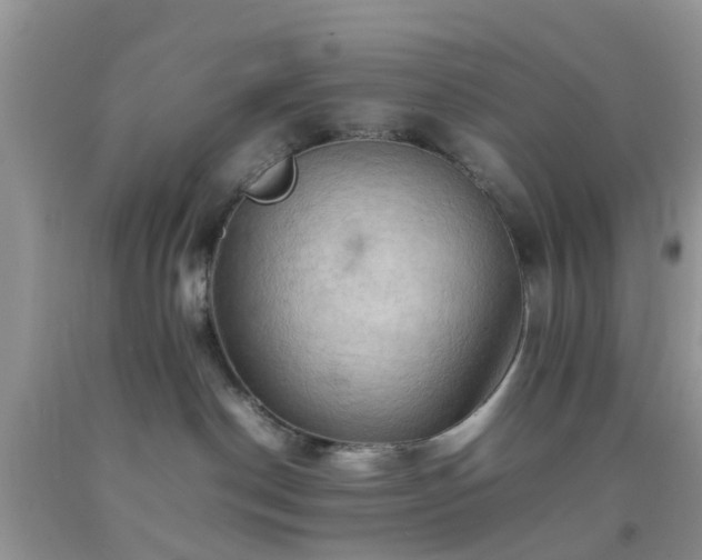 X0000092050190200709191128