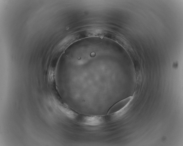 X0000092050191200709191128