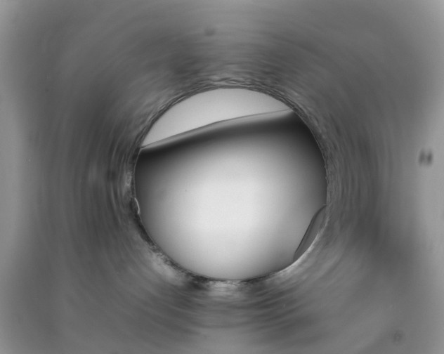 X0000092050192200709191128