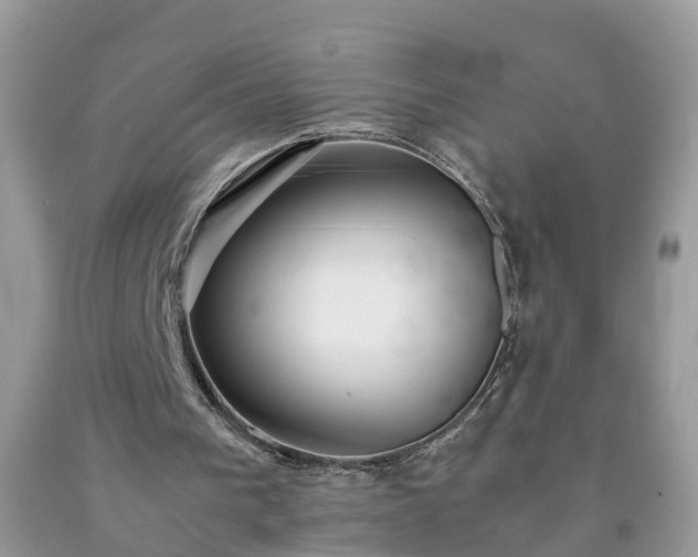 X0000092050193200709191127