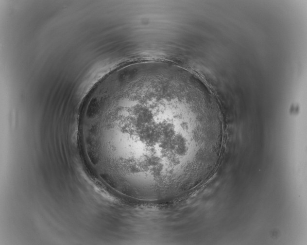 X0000092050194200709191127