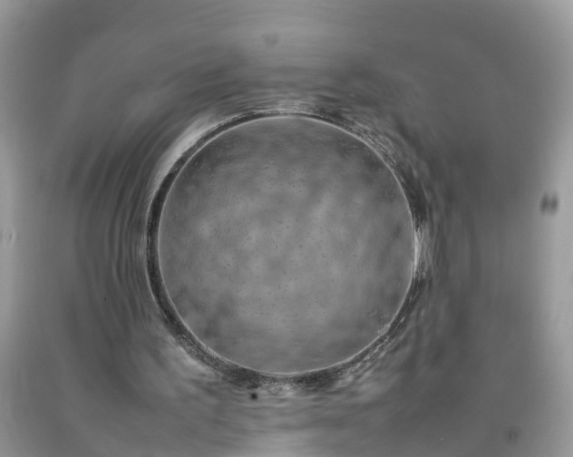 X0000092050195200709191127