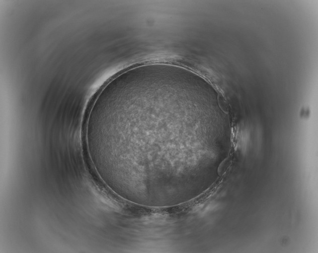 X0000092050196200709191127