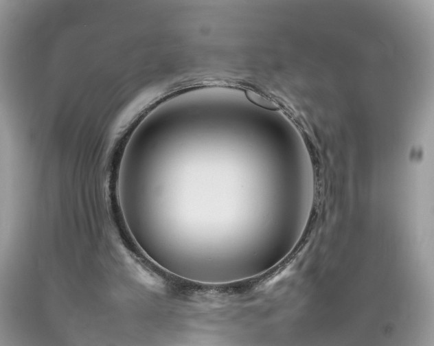 X0000092050197200709191127