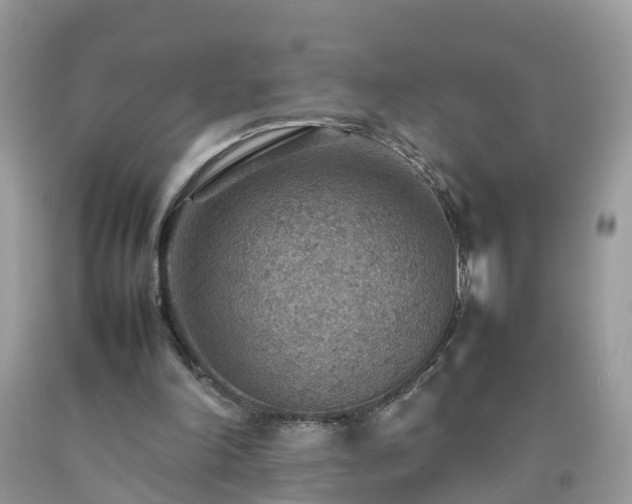 X0000092050198200709191127