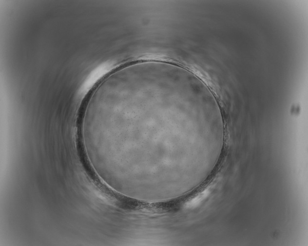 X0000092050199200709191127