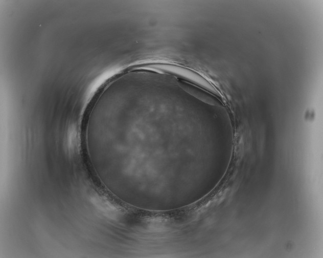 X0000092050200200709191127