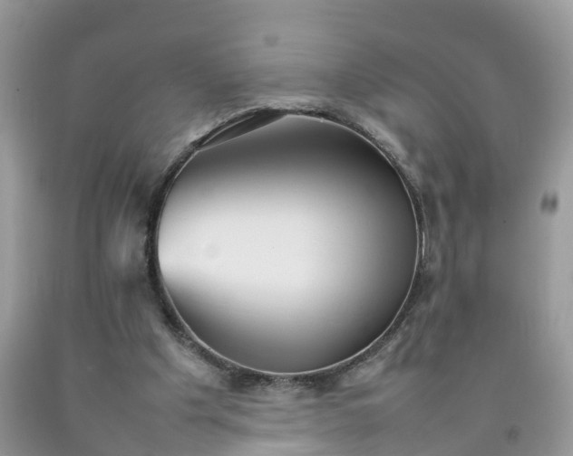 X0000092050201200709191127