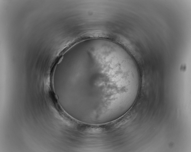 X0000092050202200709191127