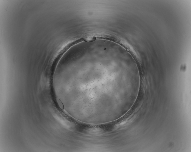 X0000092050203200709191127