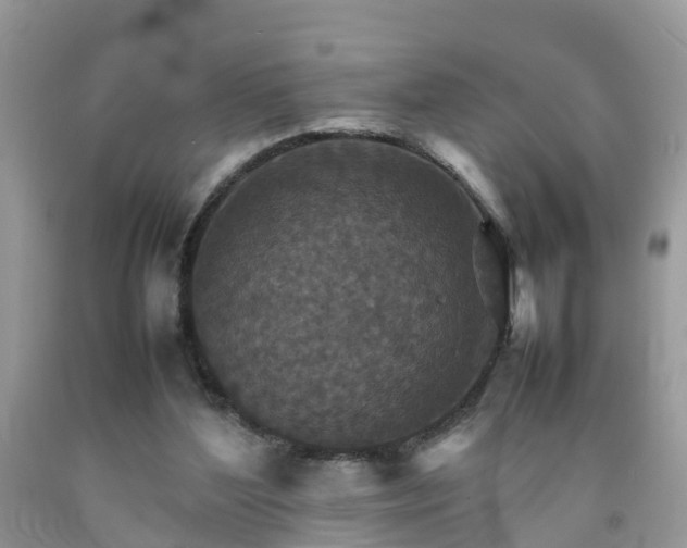 X0000092050204200709191127