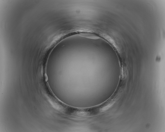 X0000092050205200709191127