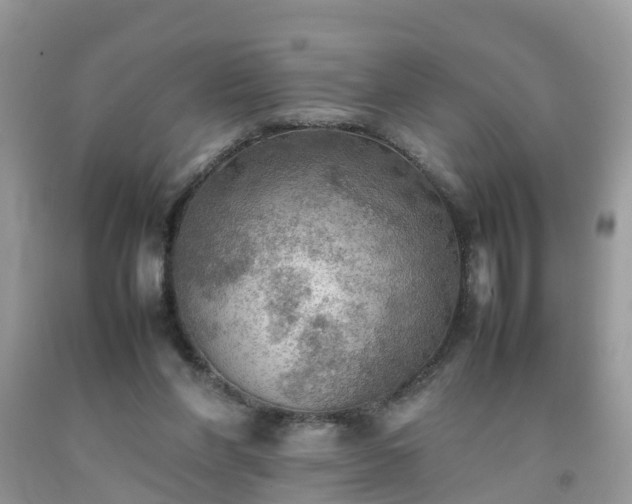 X0000092050206200709191127