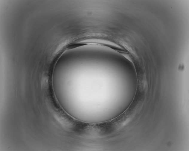 X0000092050207200709191127