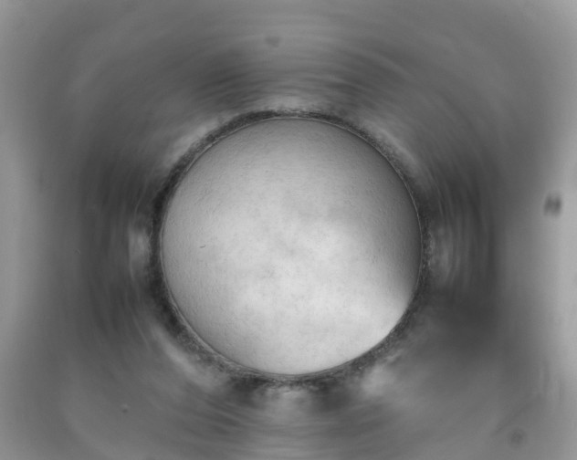 X0000092050208200709191127