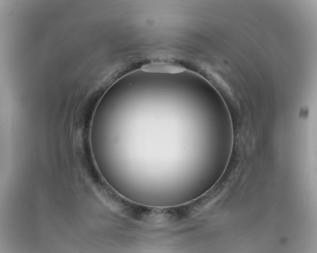 X0000092050209200709191127