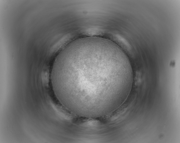 X0000092050210200709191127