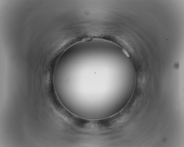 X0000092050211200709191127