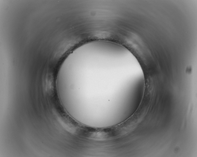 X0000092050212200709191127