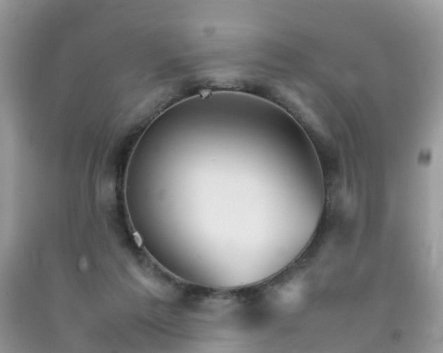 X0000092050213200709191127