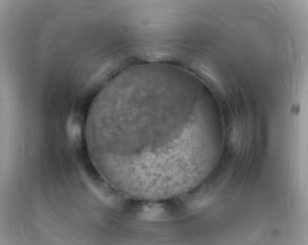 X0000092050214200709191127