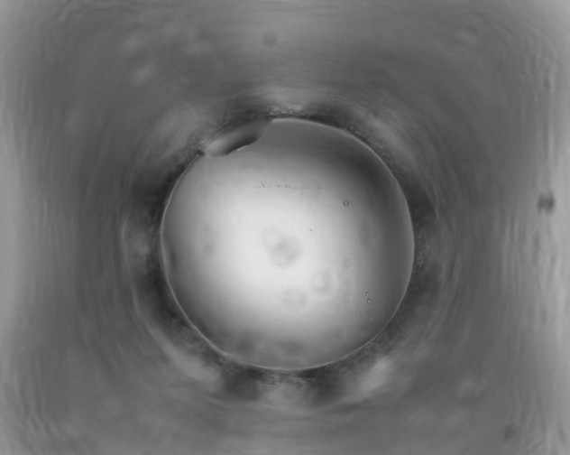 X0000092050215200709191127