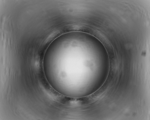 X0000092050216200709191127