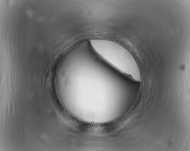 X0000092050217200709191127