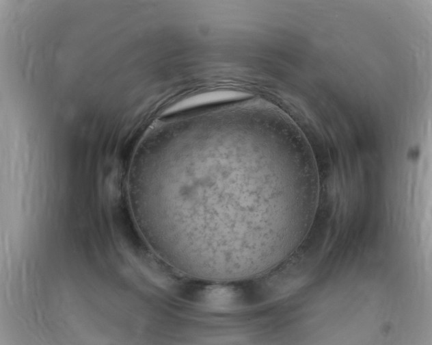 X0000092050218200709191127