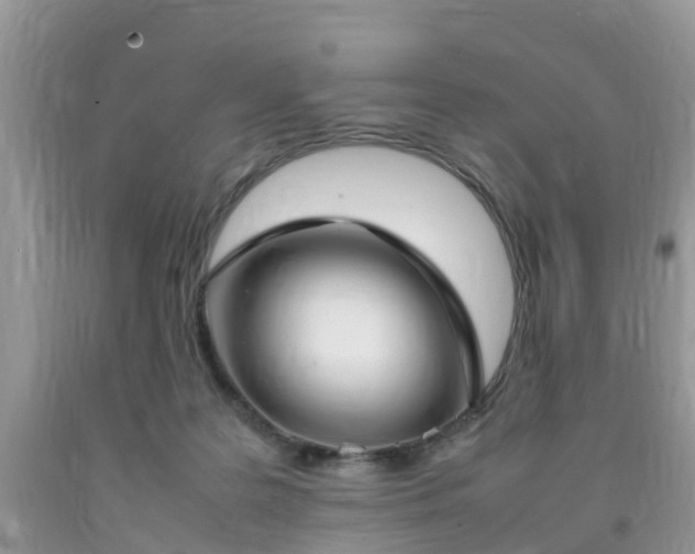 X0000092050219200709191127