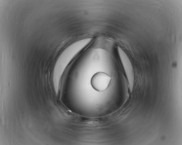 X0000092050220200709191127