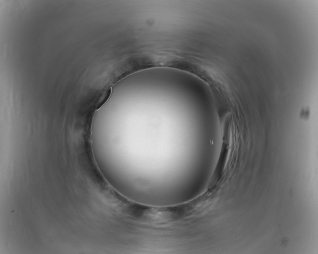 X0000092050221200709191127