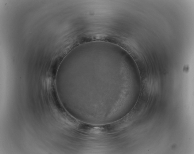 X0000092050222200709191127