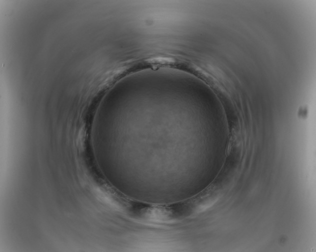 X0000092050223200709191127