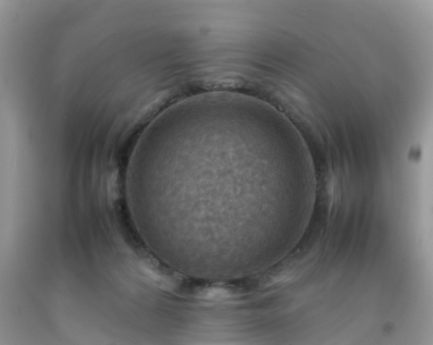 X0000092050224200709191127