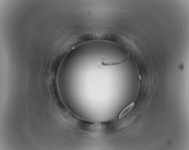 X0000092050225200709191127