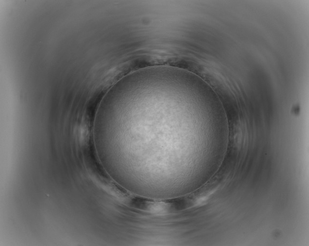 X0000092050226200709191127