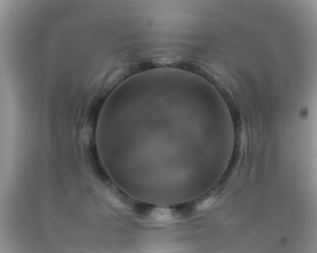 X0000092050227200709191127