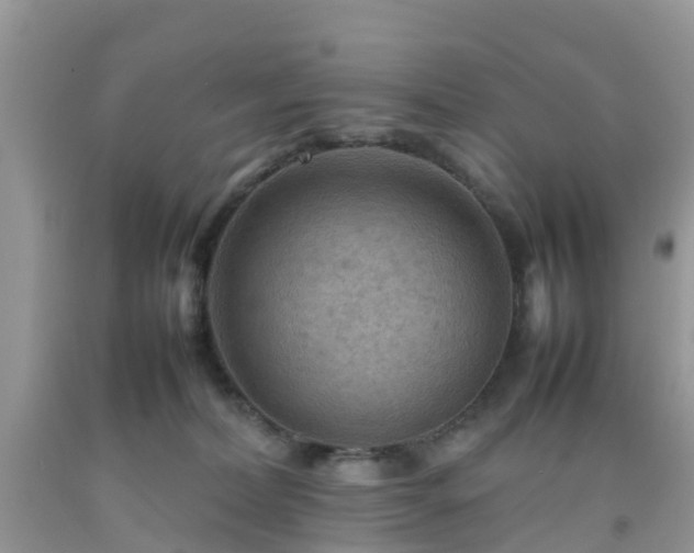 X0000092050228200709191127