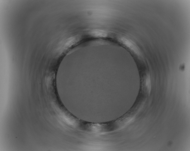 X0000092050229200709191127