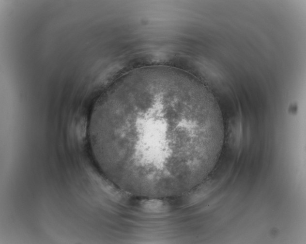 X0000092050230200709191127