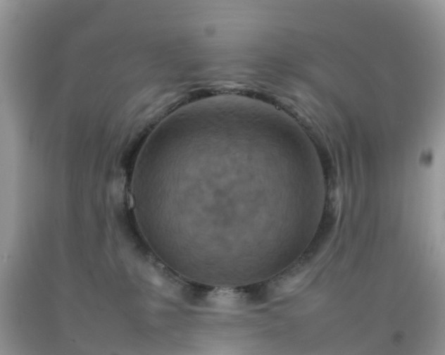 X0000092050231200709191127