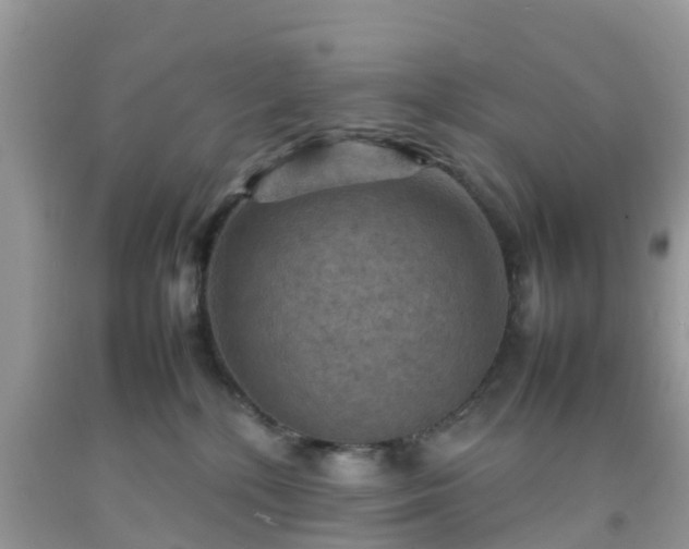 X0000092050232200709191127