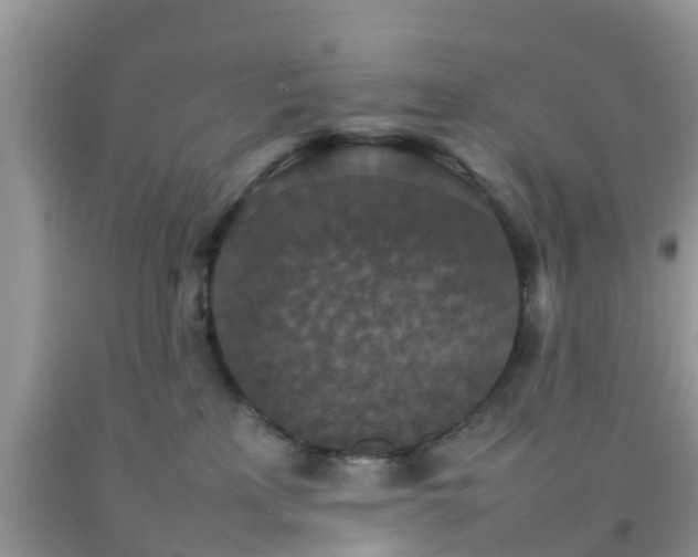 X0000092050233200709191127