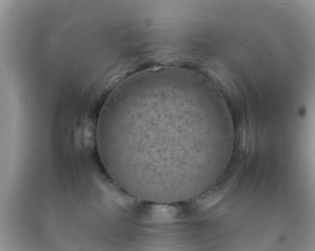 X0000092050234200709191127